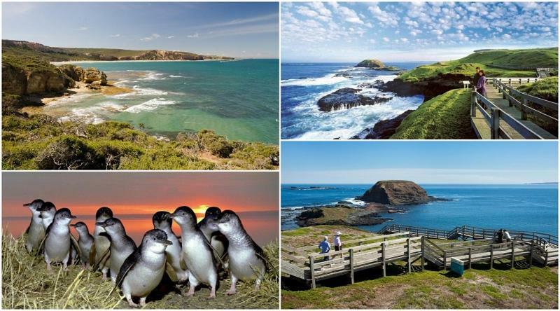 Villa The Grampian Phillip Island Cowes Esterno foto
