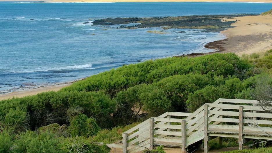 Villa The Grampian Phillip Island Cowes Esterno foto