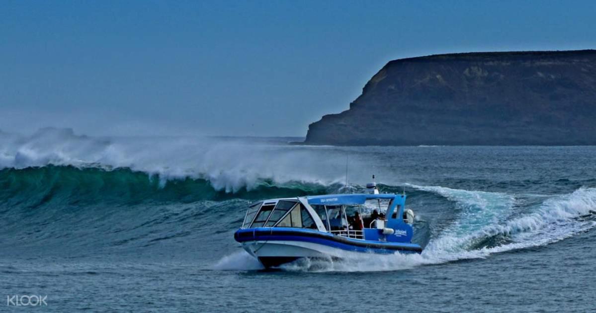 Villa The Grampian Phillip Island Cowes Esterno foto